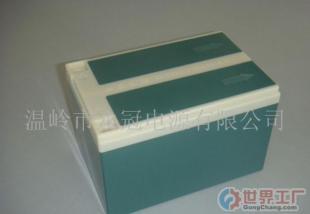 車澎湃，價(jià)共贏——聚焦摩托車蓄電池批發(fā)市場(chǎng)的資源整合與價(jià)格真相